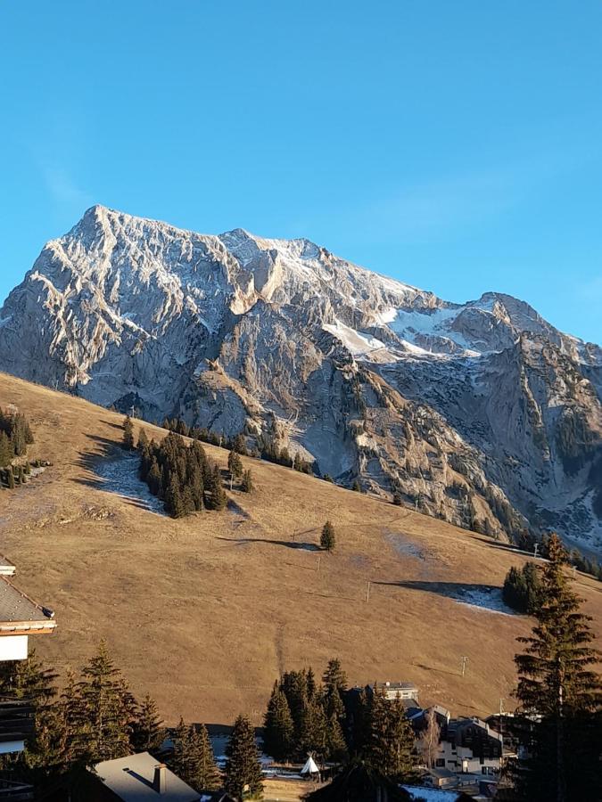 Appartement Au Coeur Des Aravis Manigod Luaran gambar