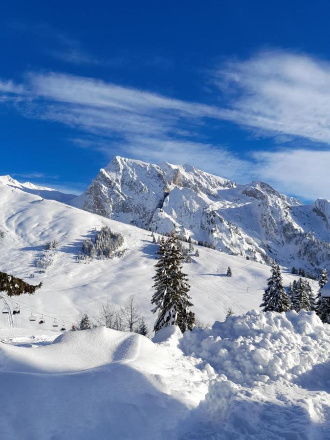 Appartement Au Coeur Des Aravis Manigod Luaran gambar